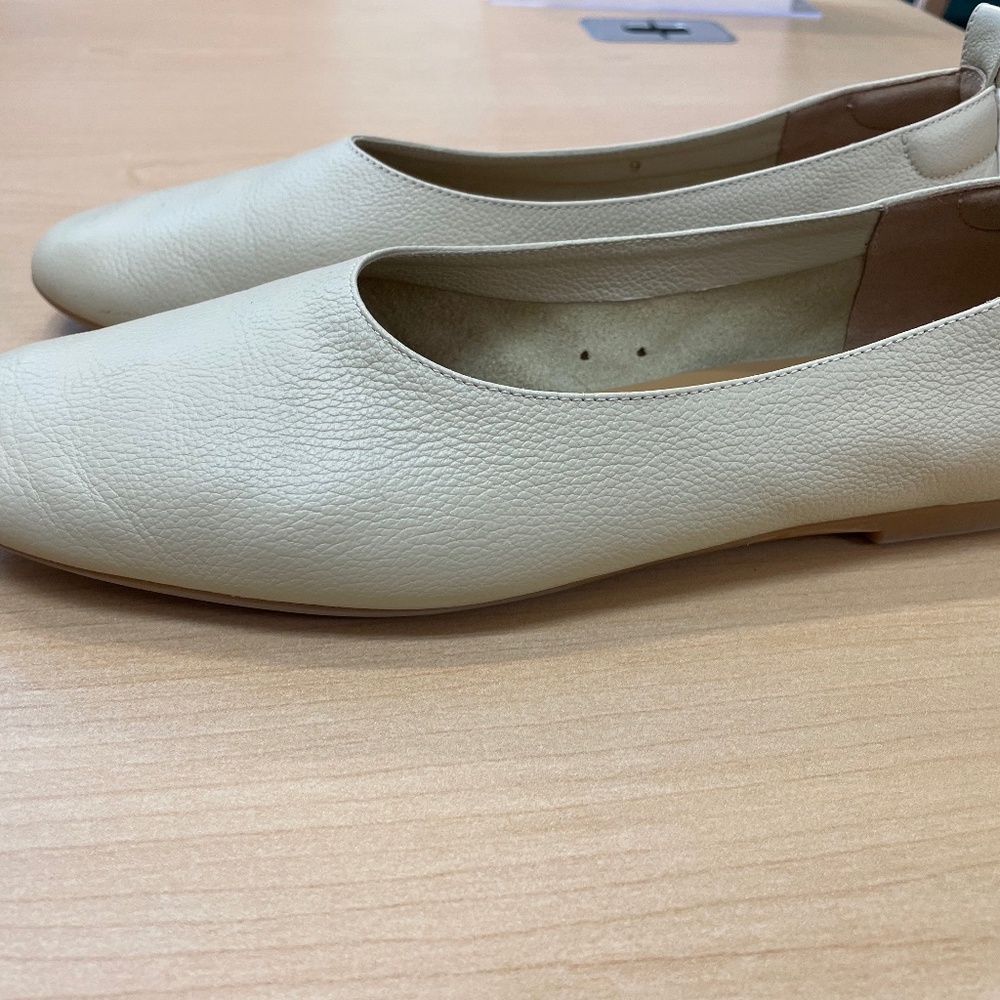 Everlane Italian Leather DayGlove Flats